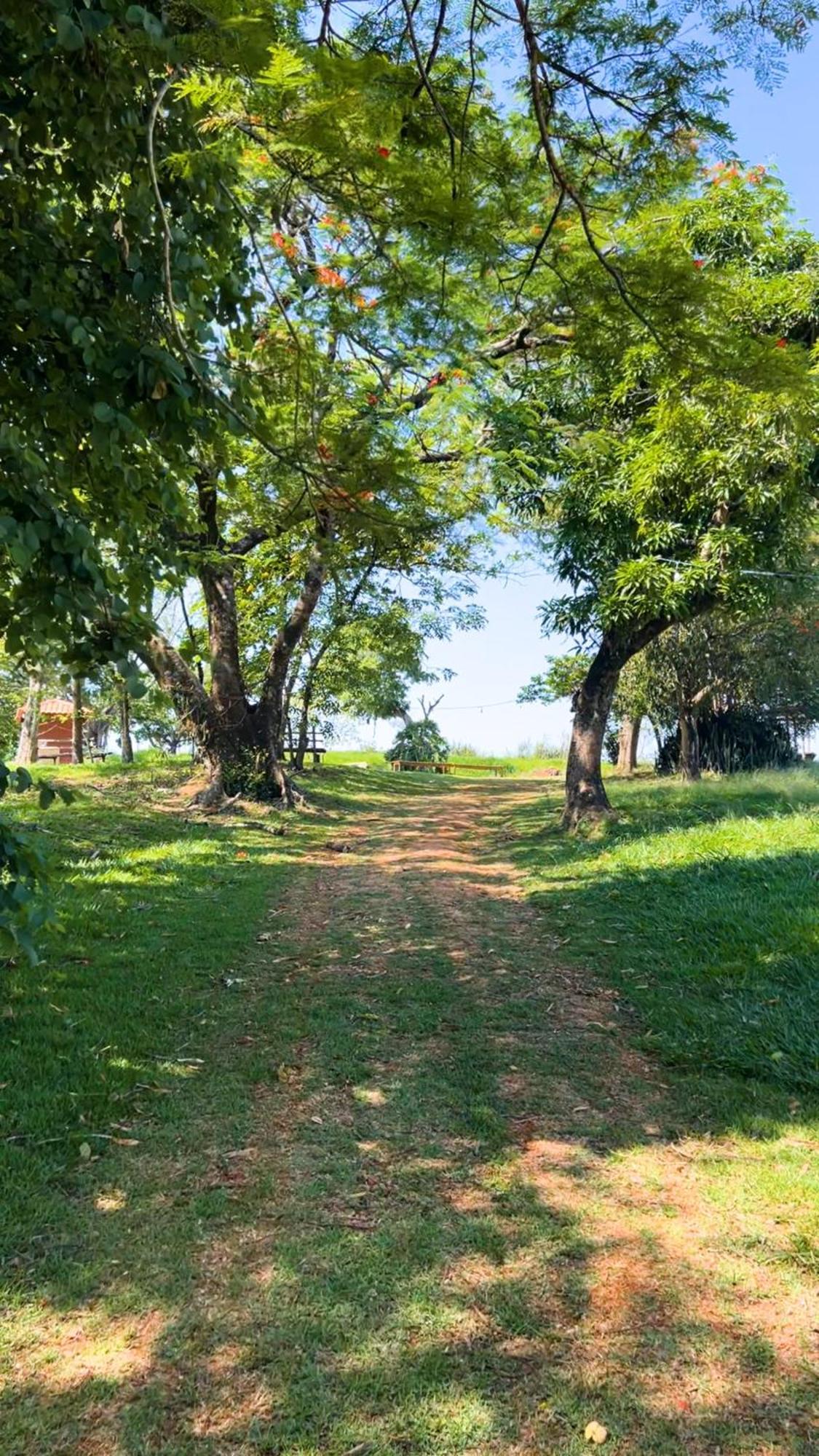 Hotel Fazenda Ararita Pôrto Feliz Extérieur photo